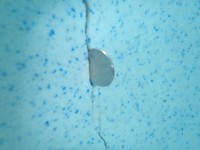 Dime Inside Hairline Crack